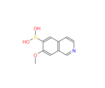 1647112-89-7；B-(7-Methoxy-6-isoquinolinyl)boronic acid