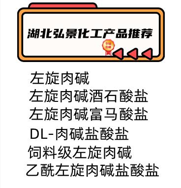 左旋肉碱系列.png