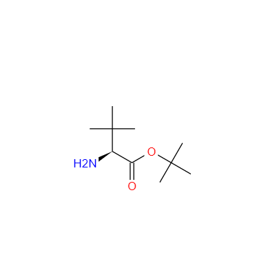 31556-74-8 L-叔亮氨叔丁酯盐酸盐