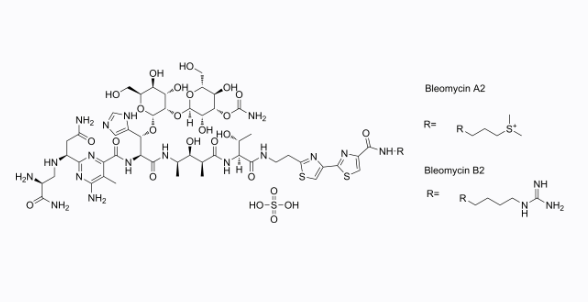 Bleomycin sulfate|硫酸博莱霉素