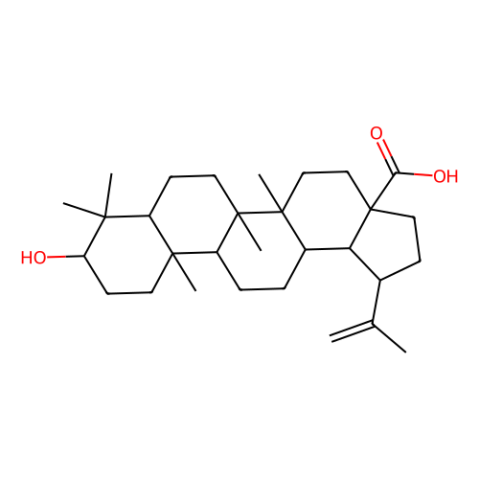 aladdin 阿拉丁 B123958 白桦脂酸 472-15-1 97%