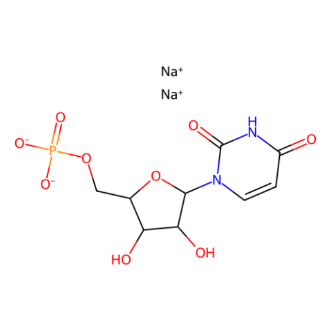 aladdin 阿拉丁 U106892 5ˊ-尿苷酸二钠(UMP) 3387-36-8 99%