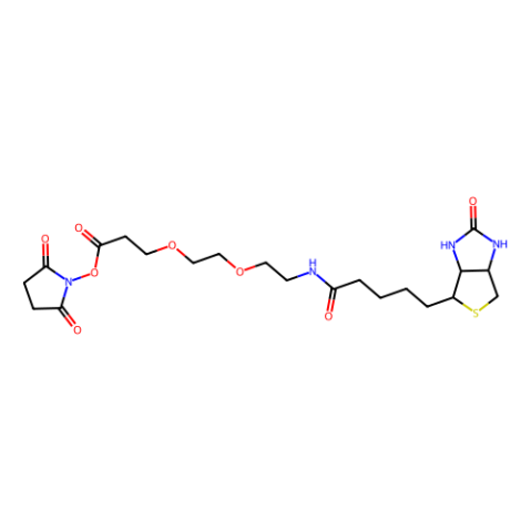 aladdin 阿拉丁 B122232 9-(生物素氨基)-4,7-二氧杂壬酸N-琥珀酰亚胺酯 596820-83-6 97%