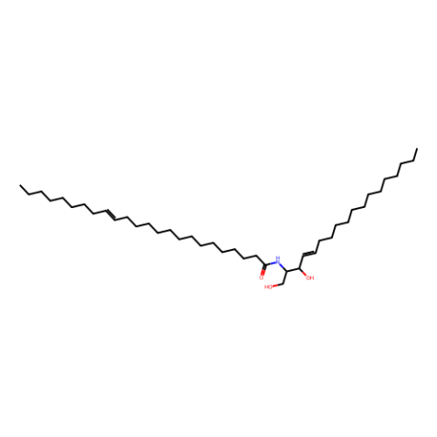 aladdin 阿拉丁 N130629 C24:1 神经酰胺 (d18:1/24:1 (15Z)) 54164-50-0 >99%