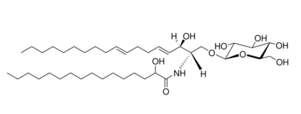 aladdin 阿拉丁 G130149 葡糖神经酰胺（大豆） 497155-61-0 >99%