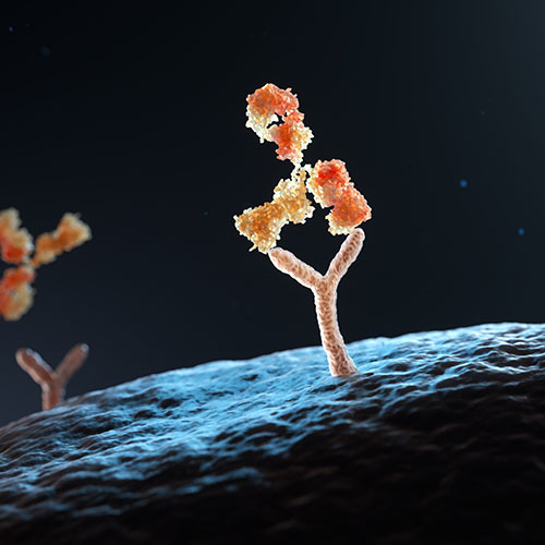 整合素Integrin αEβ7-ACROBiosystems百普赛斯