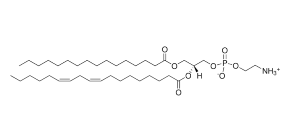 aladdin 阿拉丁 L130310 L-α-磷脂酰乙醇胺(大豆) 97281-51-1 >99%
