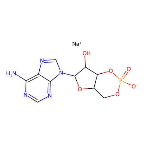 aladdin 阿拉丁 A122959 腺苷-3',5'-环状单磷酸钠水合物 37839-81-9 99%