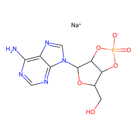 aladdin 阿拉丁 A113985 腺苷2′:3′-循环磷酸钠盐 37063-35-7 97%