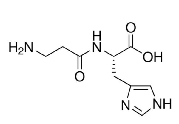 aladdin 阿拉丁 C106843 L-肌肽 305-84-0 98%