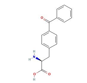 aladdin 阿拉丁 B132979 4-苯甲酰基-L-苯基丙氨酸 104504-45-2 95%