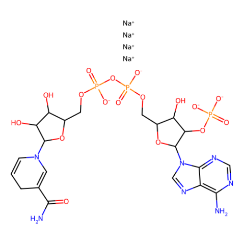 aladdin 阿拉丁 C103029 还原辅酶Ⅱ四钠盐(β-NADPH) 2646-71-1 95%