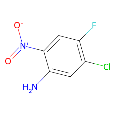 aladdin 阿拉丁 C122521 5-氯-4-氟-2-硝基苯胺 104222-34-6 97%