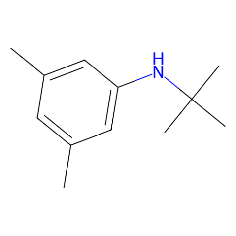 aladdin 阿拉丁 N159173 N-叔丁基-3,5-二甲基苯胺 110993-40-3 98%