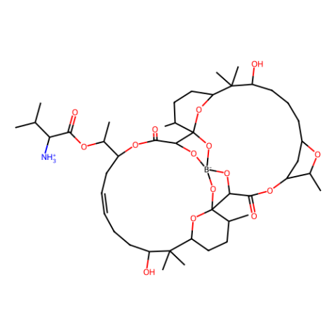 aladdin 阿拉丁 B276262 Boromycin 34524-20-4 ≥99%