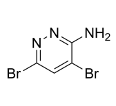 aladdin 阿拉丁 D586587 3-氨基-4,6-二溴哒嗪 1206487-35-5 95%