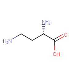 aladdin 阿拉丁 D117019 L-2,4-二氨基丁酸氢溴酸盐 1758-80-1 98%