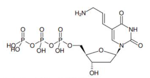 aladdin 阿拉丁 A340361 氨基烯丙基-dUTP钠盐 109921-28-0 85%