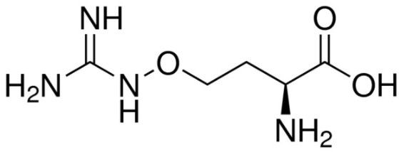 aladdin 阿拉丁 L329592 L-刀豆氨酸 543-38-4 ≥98%，from Canavalia ensiformis
