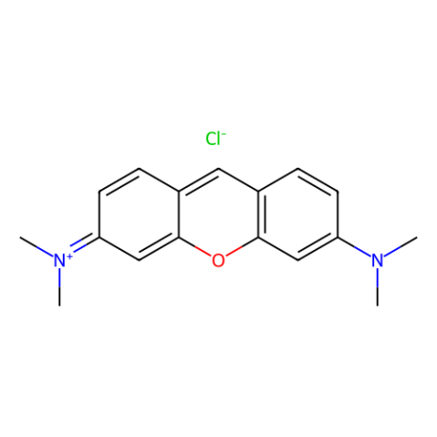 aladdin 阿拉丁 P100851 派洛宁Y 92-32-0 biological stain