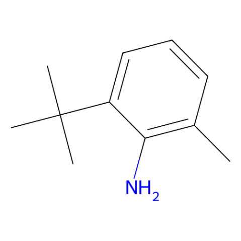 aladdin 阿拉丁 T162098 2-叔丁基-6-甲基苯胺 13117-94-7 98%