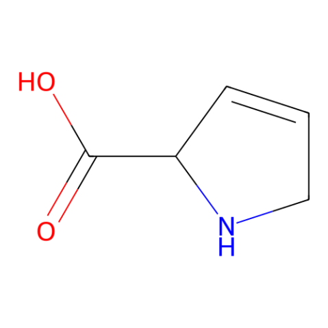 aladdin 阿拉丁 D137596 3,4-脱氢-L-脯氨酸 4043-88-3 ≥95.0%(HPLC)