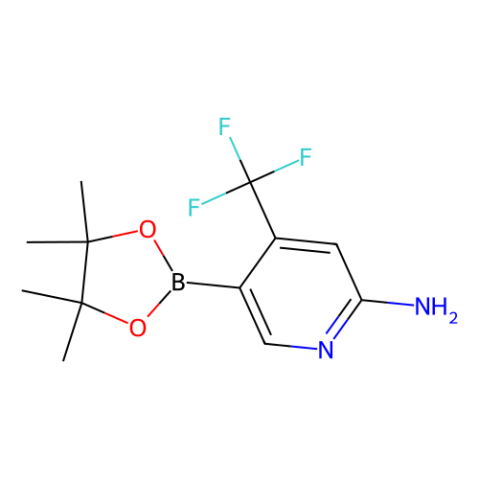 aladdin 阿拉丁 A128909 2-氨基-4-三氟甲基-5-吡啶硼酸嚬哪醇酯 944401-57-4 ≥95.0%