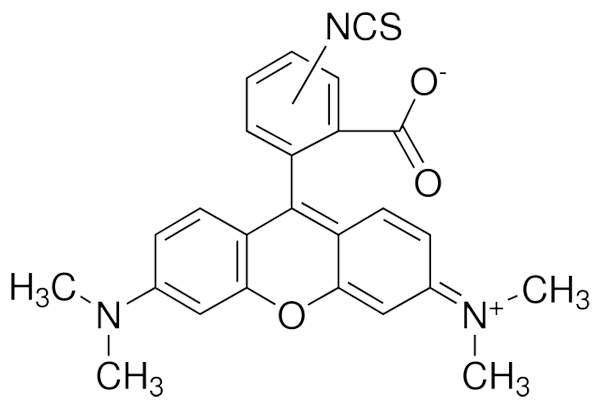 aladdin 阿拉丁 T131567 四甲基罗丹明-5(6)-异硫氰酸酯 95197-95-8 用于荧光,异构体混合物