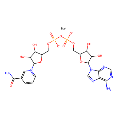 aladdin 阿拉丁 B132541 β-烟酰胺腺嘌呤二核苷酸 钠盐 20111-18-6 ≥95%(HPLC)