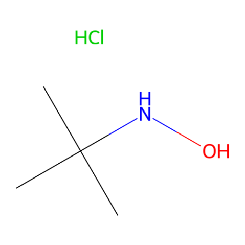 aladdin 阿拉丁 N159549 N-(叔丁基)羟胺盐酸盐 57497-39-9 >98.0%