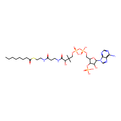 aladdin 阿拉丁 O341493 辛酰基辅酶A 1264-52-4 ≥95%