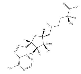 aladdin 阿拉丁 S192607 S-腺苷蛋氨酸 29908-03-0 98%