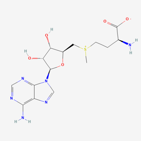 aladdin 阿拉丁 S192607 S-腺苷蛋氨酸 29908-03-0 98%