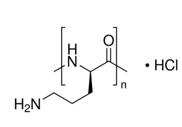 aladdin 阿拉丁 P477782 聚-L-鸟氨酸盐酸盐 26982-21-8 摩尔重量15000-30000