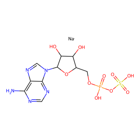 aladdin 阿拉丁 A349845 腺苷5′-磷酸硫酸盐 钠盐 102029-95-8 A 10 mM aqueous solution，95%