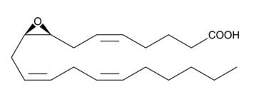 aladdin 阿拉丁 E345763 （±）8,9-环氧-5Z，11Z，14Z-三烯酸 81246-85-7 98%，100ug/mL in ethanol