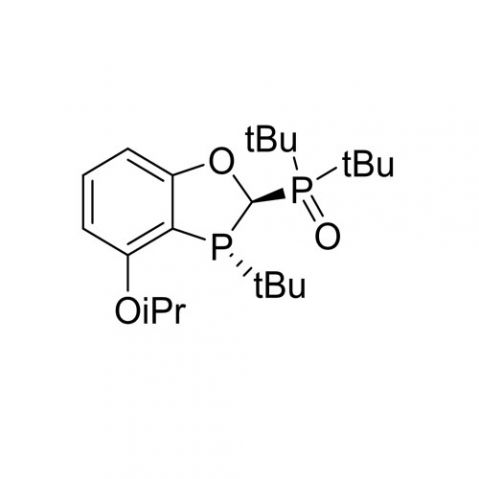 aladdin 阿拉丁 D419674 二叔丁基((2R,3R)-3-(叔丁基)-4-异丙氧基-2,3-二氢苯并[d][1,3]氧杂膦-2-基)氧化膦 2545293-93-2 97%，99% ee