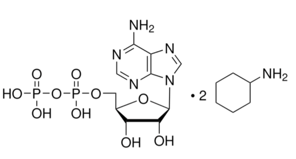 aladdin 阿拉丁 A165484 腺苷-5′-二磷酸 双环己铵盐 102029-87-8 95% (HPLC)