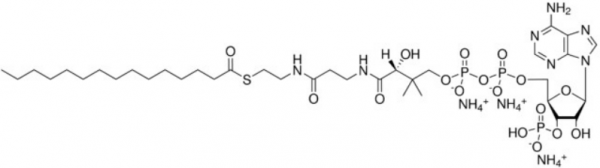 aladdin 阿拉丁 P332735 十五烷酰辅酶A（铵盐） 24870-39-1 99%