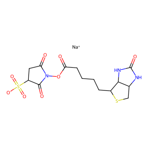 aladdin 阿拉丁 S133214 磺基-NHS-生物素 119616-38-5 ≥85%