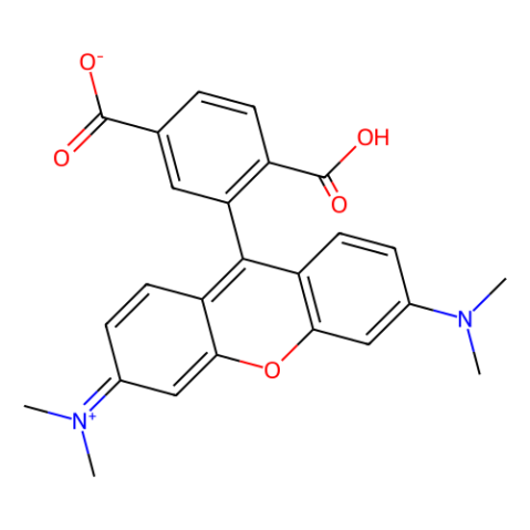 aladdin 阿拉丁 C115506 6-羧基四甲基罗丹明 91809-67-5 for fluorescence,≥90%