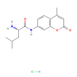 aladdin 阿拉丁 L131532 L-亮氨酸-7-氨基-4-甲基香豆素 盐酸盐 62480-44-8 ≥99% (HPLC)