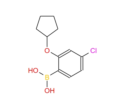 4-氯-2-(环戊氧基)苯硼酸 1256355-05-1