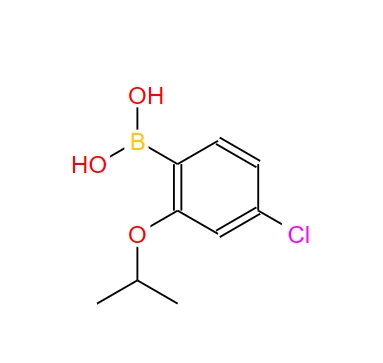 4-氯-2-异丙氧基苯硼酸 1256355-04-0