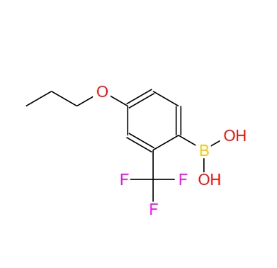 4-丙氧基-2-三氟甲基苯硼酸 1186482-51-8