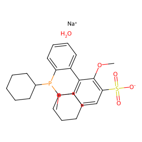 aladdin 阿拉丁 S165653 2′-二环己基膦基-2,6-二甲氧基-1,1′-联苯基-3-磺酸钠 水合物 1049726-96-6 98%