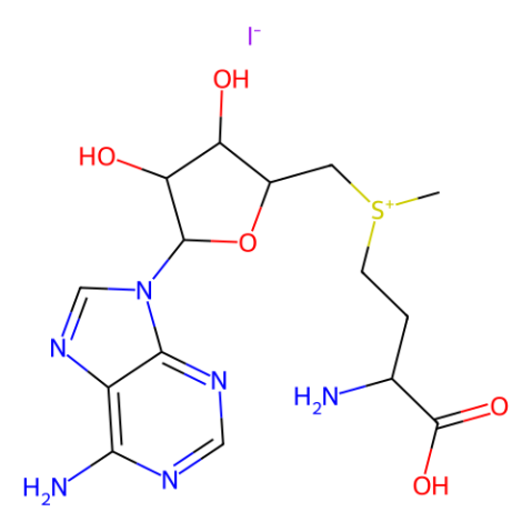 aladdin 阿拉丁 S169773 S-腺苷-L-蛋氨酸碘盐 3493-13-8 80% (HPLC)