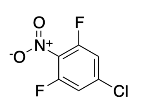 aladdin 阿拉丁 C578627 5-氯-1,3-二氟-2-硝基苯 136272-31-6 97%