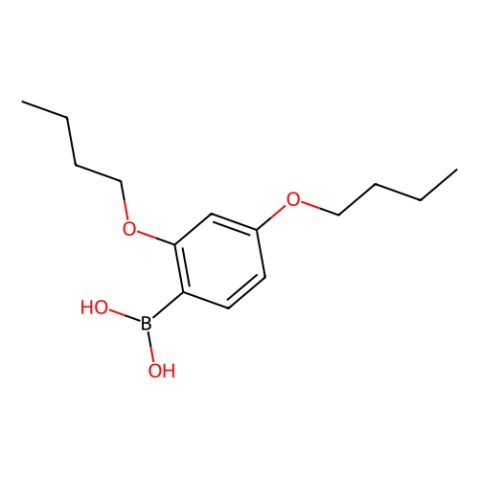 aladdin 阿拉丁 D404150 2,4-二丁氧基苯硼酸 (含不同量的酸酐) 870778-89-5 98%