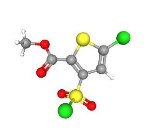 aladdin 阿拉丁 M586879 5-氯-3-(氯磺酰基)噻吩-2-甲酸甲酯 126910-68-7 95%